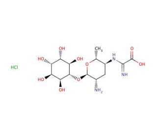 Kasugamycin hydrochloride (CAS 19408-46-9) - chemical structure image