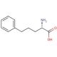 L-2-Amino-5-phenylpentanoic acid (CAS 62777-25-7) - chemical structure image