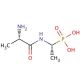 L-Alanyl-L-1-aminoethylphosphonic acid (CAS 60668-24-8) - chemical structure image