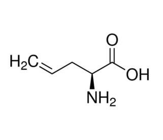 L-Allylglycine (CAS 16338-48-0) - chemical structure image