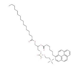 L-α-Phosphatidylcholine β-(pyren-1-yl)hexanoyl-©-palmitoyl (CAS 103625-33-8) - chemical structure image