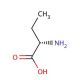 L-Aminobutyric Acid 的分子结构, CAS编号: 1492-24-6 L-Aminobutyric Acid (CAS 1492-24-6) - chemical structure image