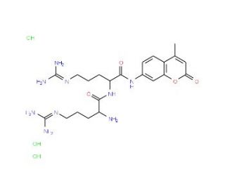 L-Arginyl-L-arginine 7-amido-4- methylcoumarin trihydrochloride (CAS 201847-69-0) - chemical structure image