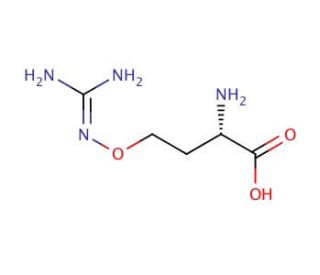 L-Canavanine (CAS 543-38-4) - chemical structure image