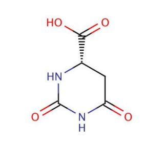 L-Dihydroorotic acid (CAS 5988-19-2) - chemical structure image