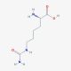 L-Homocitrulline (CAS 1190-49-4) - chemical structure image
