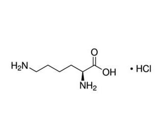 L-Lysine hydrochloride (CAS 657-27-2) - chemical structure image