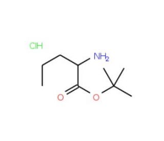 L-Norvaline t-butyl ester hydrochloride (CAS 119483-47-5) - chemical structure image