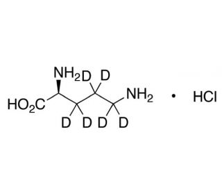 L-Ornithine-d6 Hydrochloride (CAS 347841-40-1) - chemical structure image