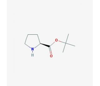L-Proline t-butyl ester (CAS 2812-46-6) - chemical structure image
