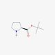 L-Proline t-butyl ester (CAS 2812-46-6) - chemical structure image