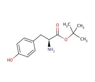 L-Tyrosine tert-butyl ester (CAS 16874-12-7) - chemical structure image