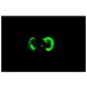 Laminin-5 Antibody (P3E4) - Immunofluorescence - Image 5326 