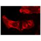 Laminin-R Antibody (MLuC5) - Immunofluorescence - Image 142923 