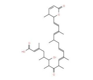 Leptomycin A (CAS 87081-36-5) - chemical structure image
