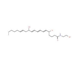 Leukotriene B4 Ethanolamide - chemical structure image