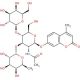 Lewis X Trisaccharide, 4-Methylumbelliferyl Glycoside (CAS 359436-57-0) - chemical structure image