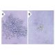 LIF (mBA): sc-4989. Undifferentiated mouse M1 cells cultured for 1 week in 0.3% agar medium without LIF (A) and differenti 