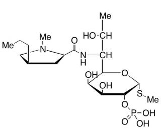 Lincomycin 2-Phosphate - chemical structure image
