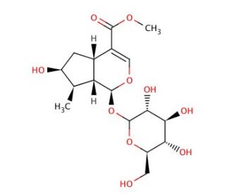 Loganin (CAS 18524-94-2) - chemical structure image
