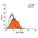 LRP1 Antibody (5A6) - Flow Cytometry - Image 14473
