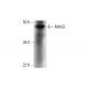 MAGE Antibody (E-8) - Western Blotting - Image 292054