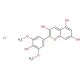 Malvidin chloride (CAS 643-84-5) - chemical structure image