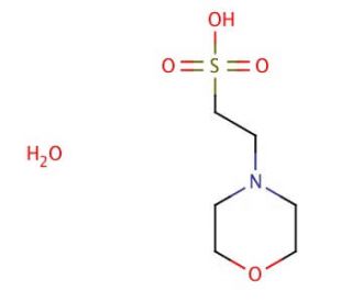MES monohydrate (CAS 145224-94-8) - chemical structure image