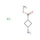 Methyl (1s,3s)-3-aminocyclobutane-1-carboxylate hydrochloride (CAS 1212304-86-3) - chemical structure image