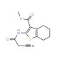 Methyl 2-[(cyanoacetyl)amino]-4,5,6,7-tetrahydro-1-benzothiophene-3-carboxylate - chemical structure image