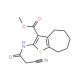 Methyl 2-[(cyanoacetyl)amino]-5,6,7,8-tetrahydro-4H-cyclohepta[b]thiophene-3-carboxylate - chemical structure image
