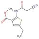 Methyl 2-[(cyanoacetyl)amino]-5-ethylthiophene-3-carboxylate - chemical structure image