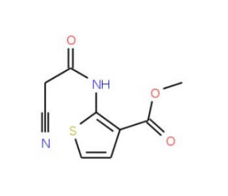 Methyl 2-[(cyanoacetyl)amino]thiophene-3-carboxylate - chemical structure image