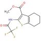 Methyl 2-[(trifluoroacetyl)amino]-4,5,6,7-tetrahydro-1-benzothiophene-3-carboxylate - chemical structure image