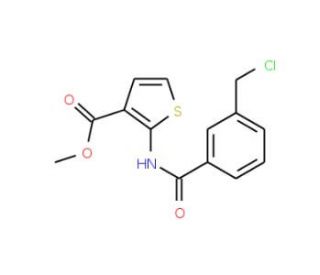 Methyl 2-{[3-(chloromethyl)benzoyl]amino}thiophene-3-carboxylate (CAS 648859-85-2) - chemical structure image