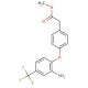 Methyl 2-{4-[2-amino-4-(trifluoromethyl)phenoxy]-phenyl}acetate - chemical structure image