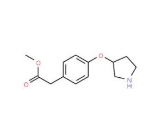 Methyl 2-[4-(3-pyrrolidinyloxy)phenyl]acetate - chemical structure image