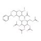 Methyl 2-acetamido-3-O-(2,3,4,6-tetra-O-acetyl-b-D-galactopyranosyl)-4,6-O-benzylidene-2-deoxy-b-D-glucopyranoside 的分子结构, CAS编号: 162427-96-5 Methyl 2-acetamido-3-O-(2,3,4,6-tetra-O-acetyl-b-D-galactopyranosyl)-4,6-O-benzylidene-2-deoxy-b-D-glucopyranoside (CAS 16242
