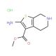 methyl 2-amino-4,5,6,7-tetrahydrothieno[2,3-c]pyridine-3-carboxylate hydrochloride - chemical structure image