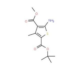 Methyl 2-amino-4-methyl-5-(tert-butoxycarbonyl)-thiophene-3-carboxylate - chemical structure image