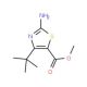Methyl 2-amino-4-t-butylthiazole-5-carboxylate (CAS 478258-61-6) - chemical structure image
