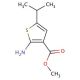 Methyl 2-amino-5-isopropylthiophene-3-carboxylate - chemical structure image