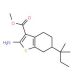 Methyl 2-amino-6-(1,1-dimethylpropyl)-4,5,6,7-tetrahydro-1-benzothiophene-3-carboxylate - chemical structure image
