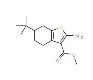 Methyl 2-amino-6-tert-butyl-4,5,6,7-tetrahydro-1-benzothiophene-3-carboxylate - chemical structure image
