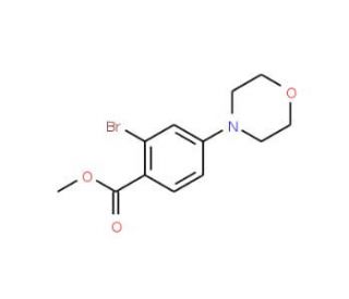 Methyl 2-bromo-4-morpholinobenzenecarboxylate - chemical structure image