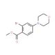 Methyl 2-bromo-4-morpholinobenzenecarboxylate - chemical structure image