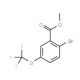 Methyl 2-bromo-5-(trifluoromethoxy)benzoate (CAS 1150114-81-0) - chemical structure image