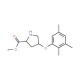 Methyl (2S,4S)-4-(2,3,5-trimethylphenoxy)-2-pyrrolidinecarboxylate - chemical structure image