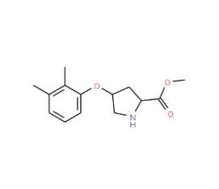 Methyl (2S,4S)-4-(2,3-dimethylphenoxy)-2-pyrrolidinecarboxylate - chemical structure image