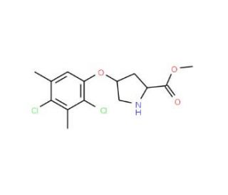 Methyl (2S,4S)-4-(2,4-dichloro-3,5-dimethyl-phenoxy)-2-pyrrolidinecarboxylate - chemical structure image